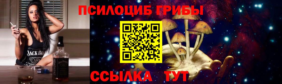 Егорьевск  Галлюциногенные грибы Psilocybe  Вход с VPN 